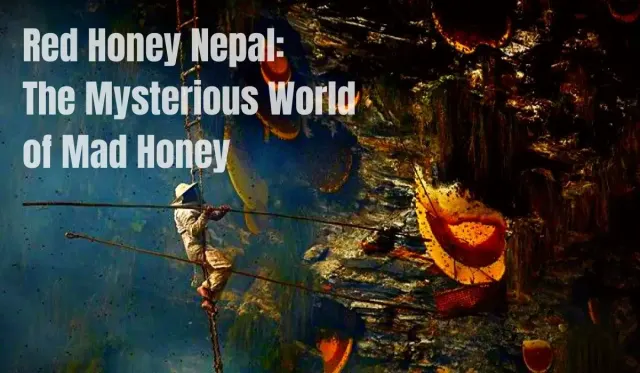 Red Honey Nepal: The Mysterious World of Mad Honey
